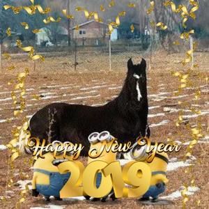 Meet your Posher, Janet